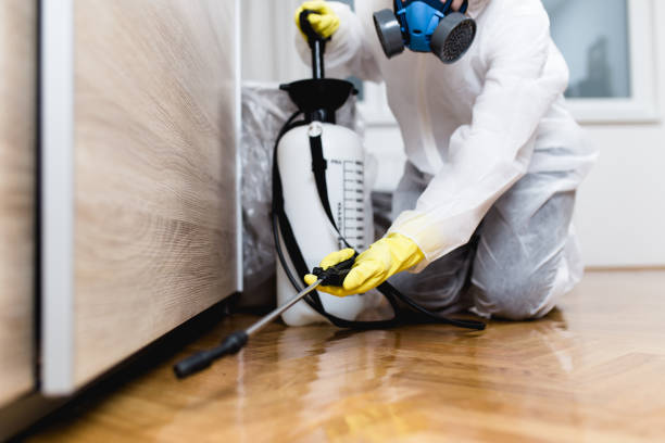 Best Best Pest Control Companies  in Fort Lauderdale, FL