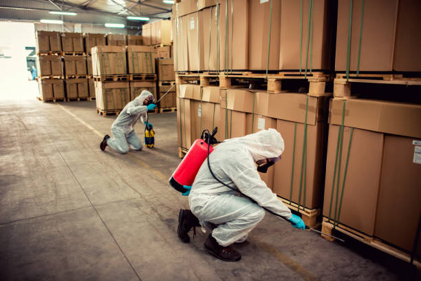 Best Pest Control Treatment  in Fort Lauderdale, FL