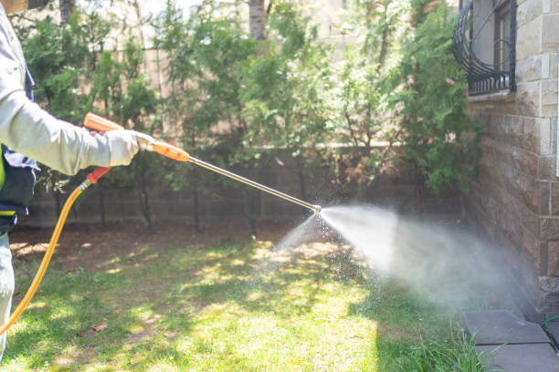 Best Insect Control  in Fort Lauderdale, FL