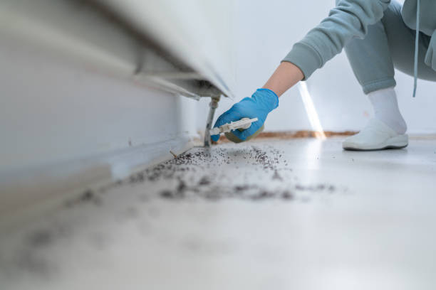 Best Spider Control Near Me  in Fort Lauderdale, FL